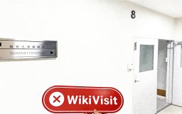 A Visit to BITOCEAN in Japan – No Office Found