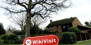 WikiBit site visit