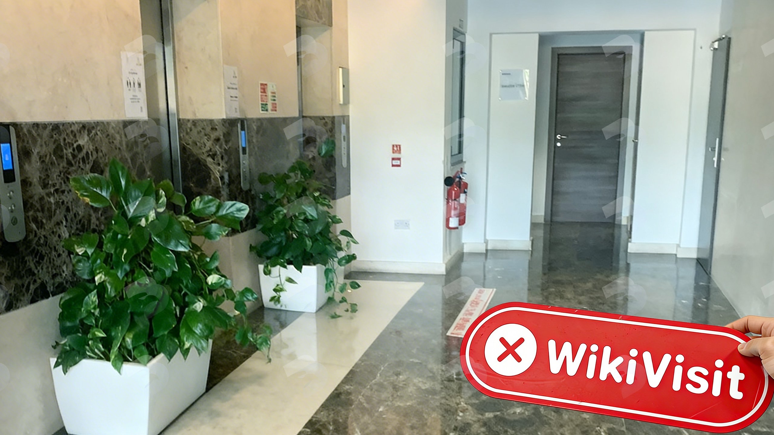 A Site Visit to Cryptocurrency Exchange AAX in Malta Its Business Address Doesn’t Exist