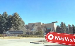 Không Tìm Thấy Văn Phòng Khi Ghé Thăm BORA NSQ ở Mỹ