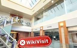 A Visit to Henri in the US - No Office Found