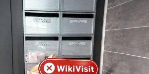 WikiBit site visit