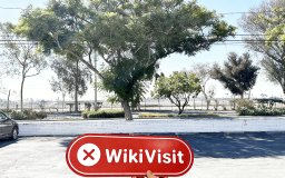 Một chuyến thăm COINTIGER tại Mỹ - Không tìm thấy văn phòng