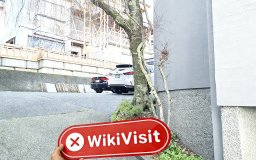 Kunjungan ke BITCOINIACS di Kanada - Tidak Ditemukan Kantor