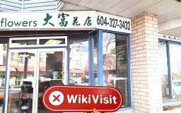 Visita a BZONE en Canadá - No se encontró oficina