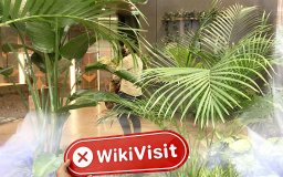 Una visita al intercambio de criptomonedas wirex en el Reino Unido: no encuentra oficina