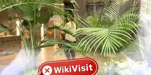 WikiBit site visit