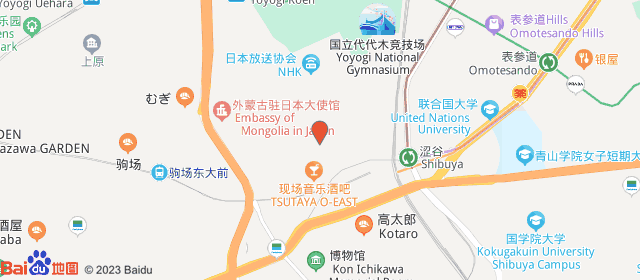 baiduMap