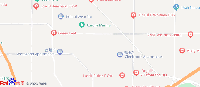 baiduMap