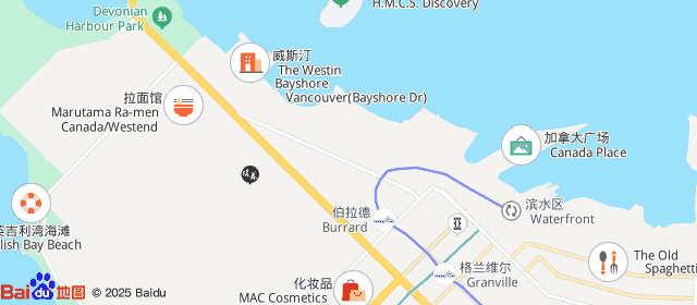 baiduMap