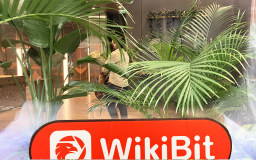 A Visit to the Cryptocurrency Exchange wirex in UK -- Finding No Office