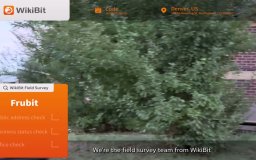 米国のFrubit訪問 - オフィスは見つかりませんでした
