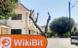 เยี่ยมชม FXORO ในไซปรัส - พบสำนักงาน